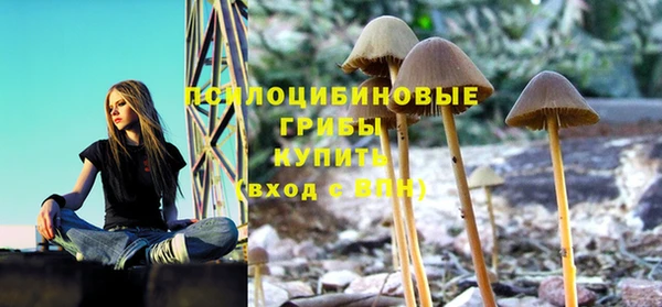 герыч Гусь-Хрустальный