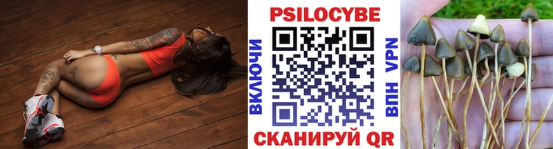 Псилоцибиновые грибы Psilocybine cubensis  Печоры 